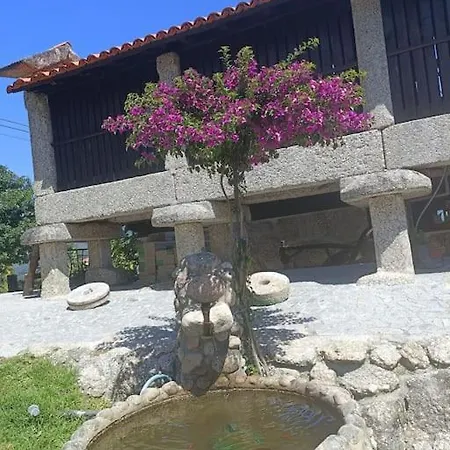 Apartment Quinta Da Avo Miquinhas Vieira do Minho