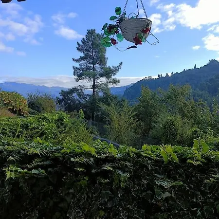 Quinta Da Avo Miquinhas