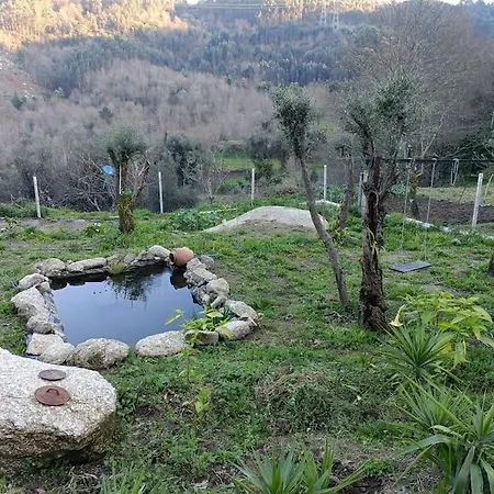 Quinta Da Avo Miquinhas * Vieira do Minho