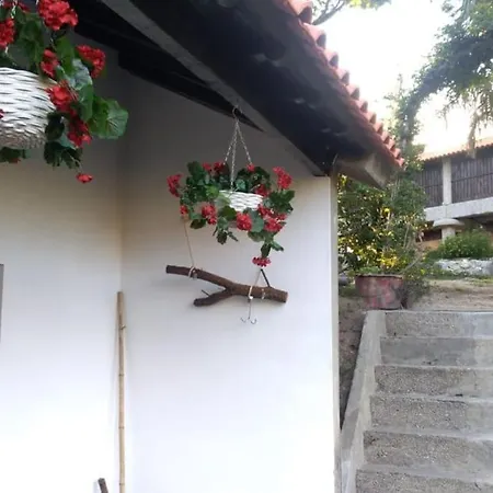 Apartment Quinta Da Avo Miquinhas *