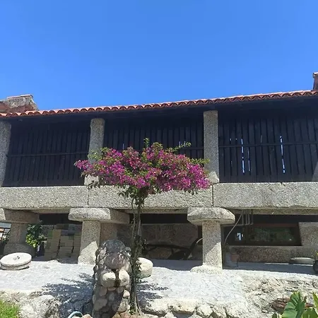 Quinta Da Avo Miquinhas Vieira do Minho